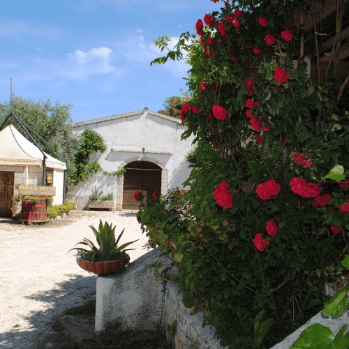 cantine cimaglia