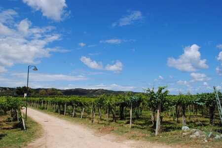 tenuta cantine cimaglia